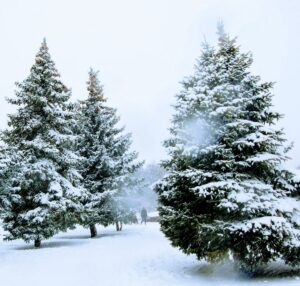 IMG 20190107 141737 734 |