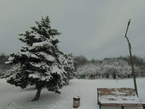 IMG 20200207 123221 661 |