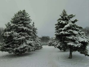 IMG 20200207 123221 663 |