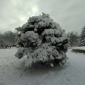 IMG 20200207 123221 664 |