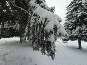 IMG 20200207 123221 740 |