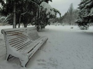 IMG 20200207 123221 741 |