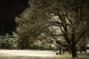 IMG 20200208 191248 857 |