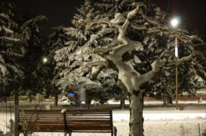 IMG 20200208 191248 864 |