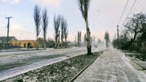 IMG 20210213 092754 scaled 1 |